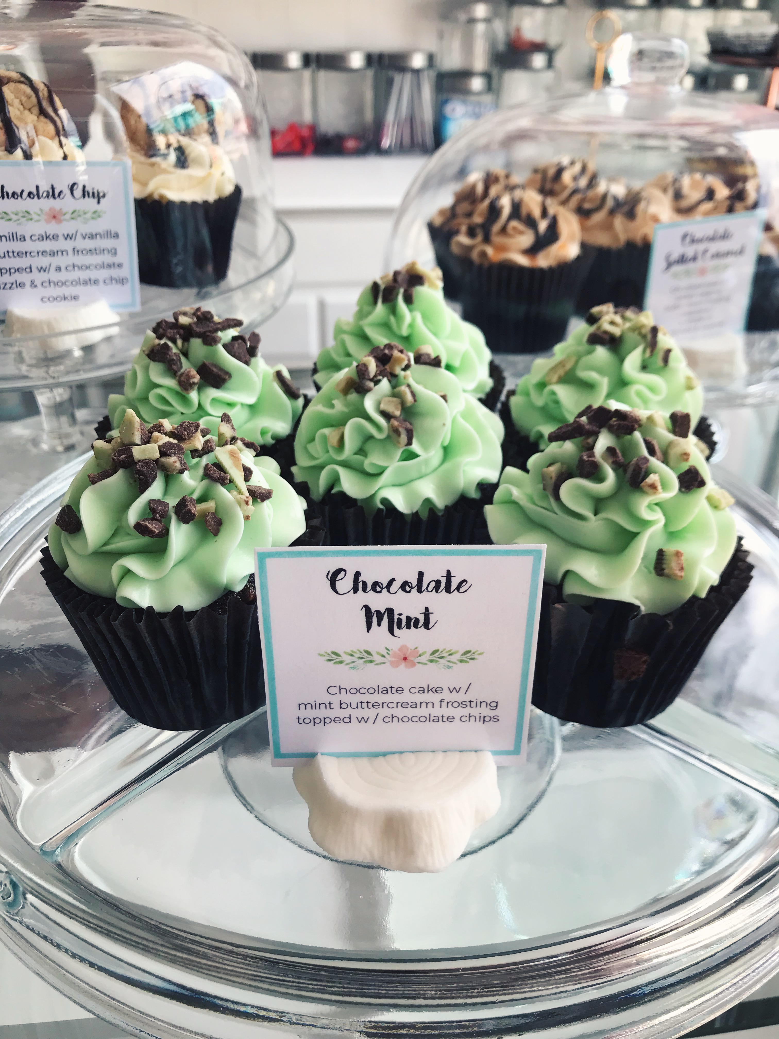 Mint Chocolate Chip